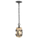 Golden - 1821-M1L BI - One Light Mini Pendant - Madera - Black Iron