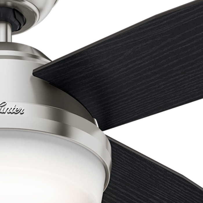 Dempsey 52" Ceiling Fan-Fans-Hunter-Lighting Design Store