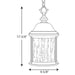 Progress Lighting - P5550-20 - Three Light Hanging Lantern - Ashmore - Antique Bronze