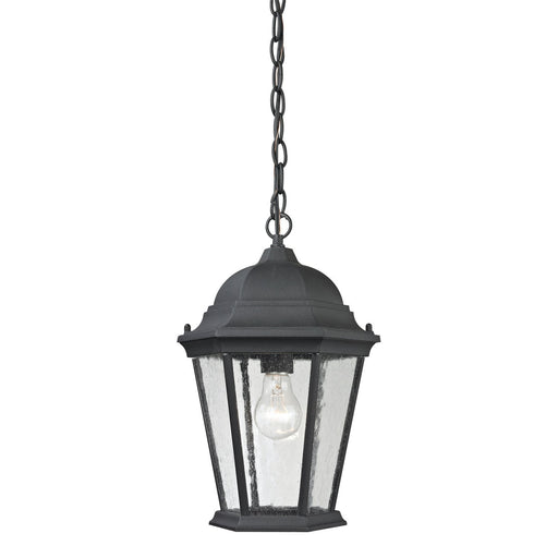 ELK Home - 8101EH/65 - One Light Hanging Lantern - Temple Hill - Matte Textured Black