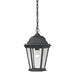 ELK Home - 8101EH/65 - One Light Hanging Lantern - Temple Hill - Matte Textured Black