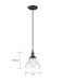 Nuvo Lighting - 60-5503 - One Light Pendant - Vintage - Rustic Bronze