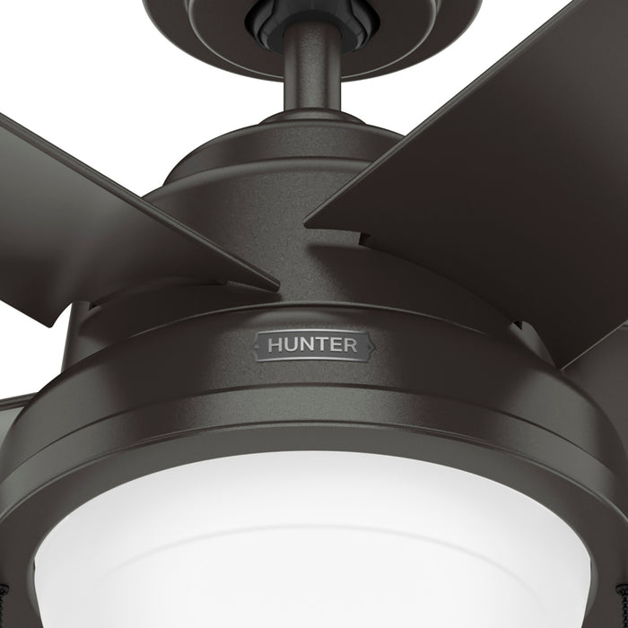 Seawall 44"Ceiling Fan-Fans-Hunter-Lighting Design Store