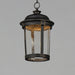 Dover LED Outdoor Hanging Lantern-Exterior-Maxim-Lighting Design Store