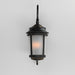 LED Outdoor Wall Sconce-Exterior-Maxim-Lighting Design Store