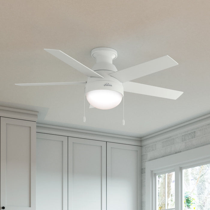 Anslee 46" Ceiling Fan-Fans-Hunter-Lighting Design Store