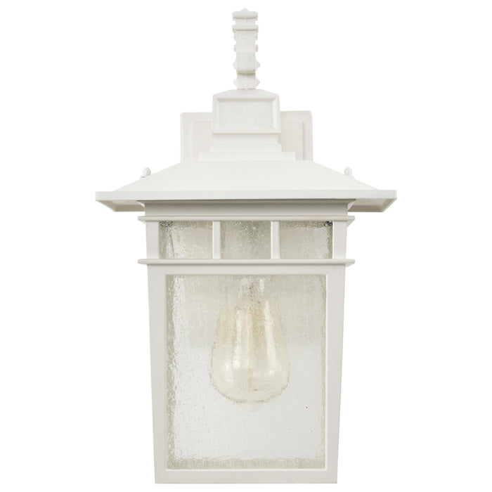 Nuvo Lighting - 60-4957 - One Light Wall Lantern - Cove Neck - White / Clear Seeded