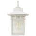 Nuvo Lighting - 60-4957 - One Light Wall Lantern - Cove Neck - White / Clear Seeded