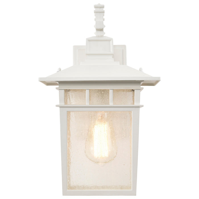 Nuvo Lighting - 60-4957 - One Light Wall Lantern - Cove Neck - White / Clear Seeded