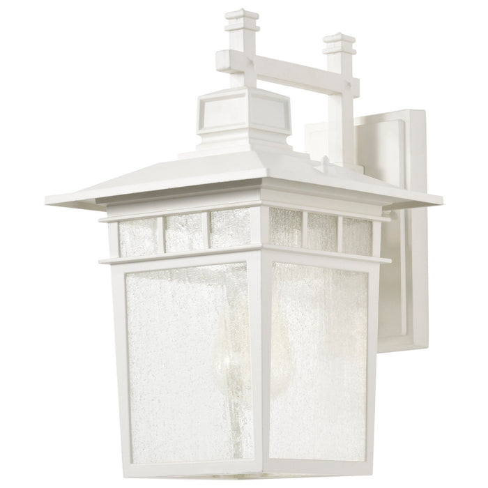 Nuvo Lighting - 60-4957 - One Light Wall Lantern - Cove Neck - White / Clear Seeded