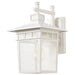 Nuvo Lighting - 60-4957 - One Light Wall Lantern - Cove Neck - White / Clear Seeded