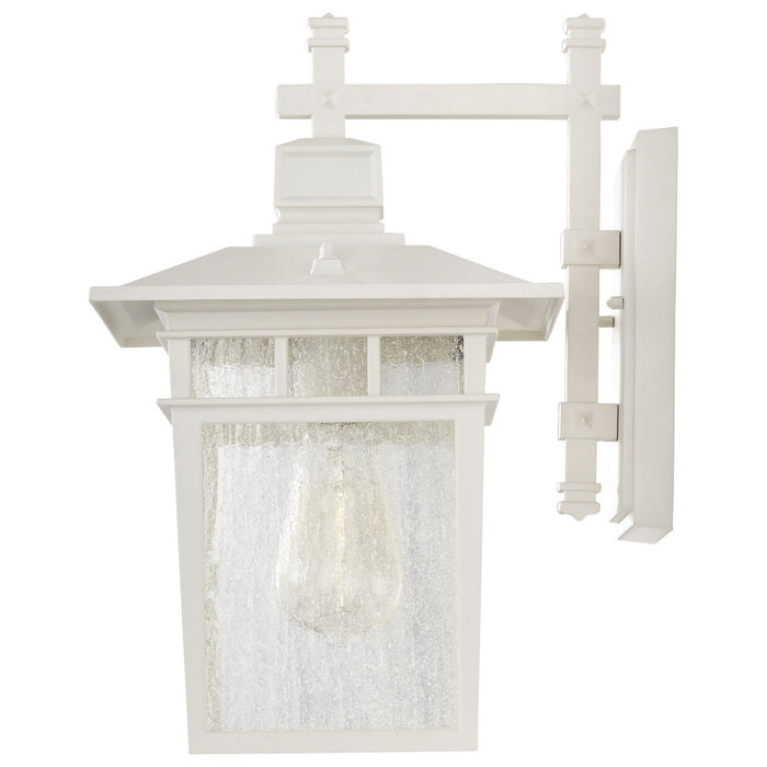Nuvo Lighting - 60-4957 - One Light Wall Lantern - Cove Neck - White / Clear Seeded