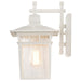 Nuvo Lighting - 60-4957 - One Light Wall Lantern - Cove Neck - White / Clear Seeded