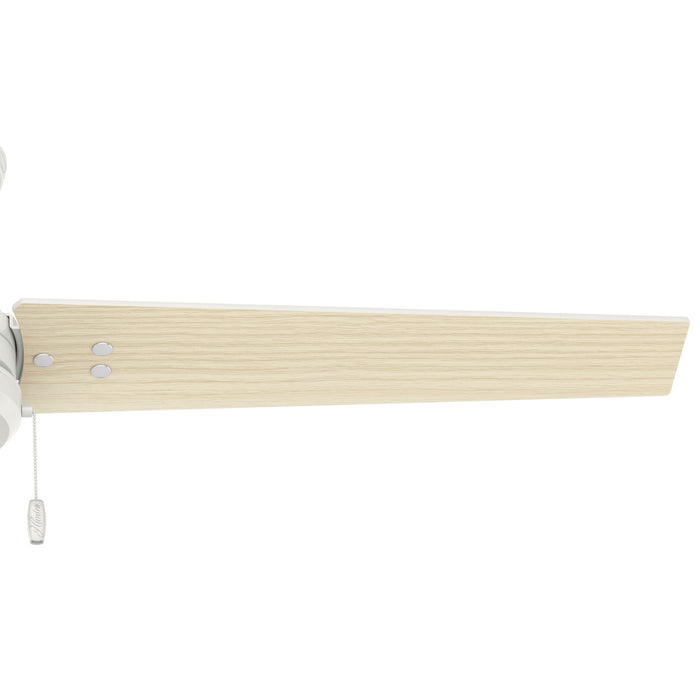 Cassius 52" Ceiling Fan-Fans-Hunter-Lighting Design Store