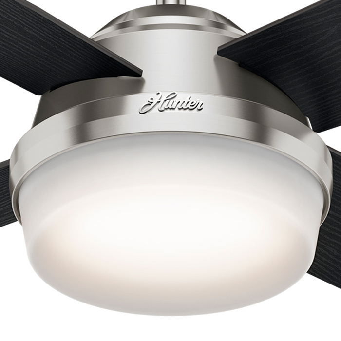 Dempsey 44" Ceiling Fan-Fans-Hunter-Lighting Design Store