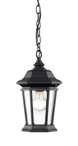 Melbourne One Light Outdoor Chain Mount