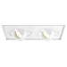 W.A.C. Lighting - MT-5LD225TL-S930WT - LED Multiple Two Light Invisible Trim with Light Engine - Tesla - White