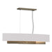 Hubbardton Forge - 137675-SKT-STND-84-SE4279 - Four Light Pendant - Oceanus - Soft Gold