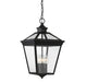Savoy House - 5-145-BK - Four Light Outdoor Hanging Lantern - Ellijay - Black