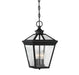 Savoy House - 5-146-BK - Three Light Hanging Lantern - Ellijay - Black