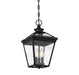 Savoy House - 5-146-BK - Three Light Hanging Lantern - Ellijay - Black