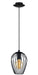 Eglo USA - 49477A - One Light Pendant - Newtown - Black