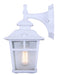 Canarm - IOL183TWH-C - One Light Outdoor Downlight - Fieldhouse - White