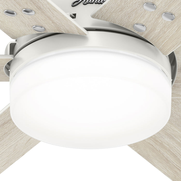 Pacer 44" Ceiling Fan-Fans-Hunter-Lighting Design Store