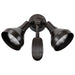 Nuvo Lighting - SF76-531 - Two Light Floodlight - Bronze