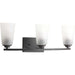Progress Lighting - P300010-143 - Three Light Bath - Debut - Graphite