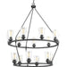 Progress Lighting - P400017-143 - 15 Light Chandelier - Debut - Graphite