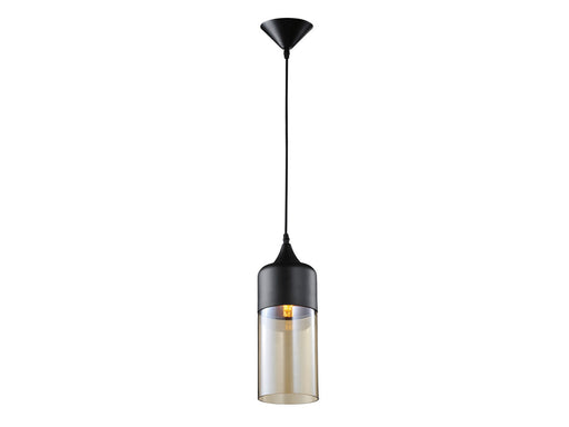 Robertson Blvd. One Light Pendant