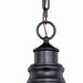 Vaxcel - T0317 - One Light Outdoor Pendant - Delano - Oil Burnished Bronze and Light Gold
