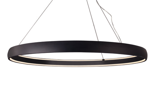 Halo LED Pendant Black