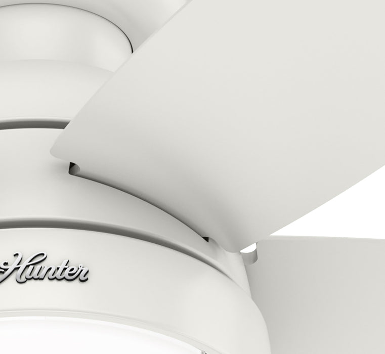 Lilliana 44" Ceiling Fan-Fans-Hunter-Lighting Design Store