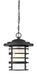 Nuvo Lighting - 60-6405 - One Light Hanging Lantern - Lansing - Textured Black