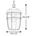 Progress Lighting - P550025-031 - One Light Hanging Lantern - Holcombe - Black