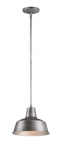 Pier M One Light Outdoor Pendant Weathered Zinc