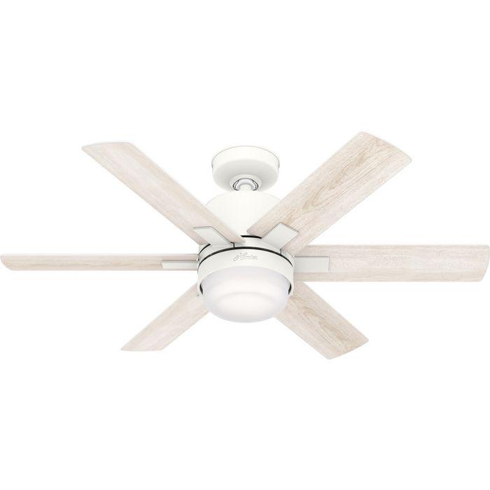 Radeon 44" Ceiling Fan-Fans-Hunter-Lighting Design Store