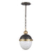 Regina Andrew - 16-1117BBNB - One Light Pendant - Otis - Blackened Brass