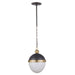 Regina Andrew - 16-1118BBNB - One Light Pendant - Otis - Blackened Brass