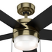 Claudette 52" Ceiling Fan-Fans-Hunter-Lighting Design Store