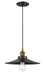 Matteo Lighting - C46112WGBK - One Light Pendant - Bulstrode'S Workshop - Warm Gold