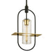 Troy Lighting - F6397-TBZ/BBA - One Light Hanging Lantern - Smyth - Textured Bronze Brushed Brass