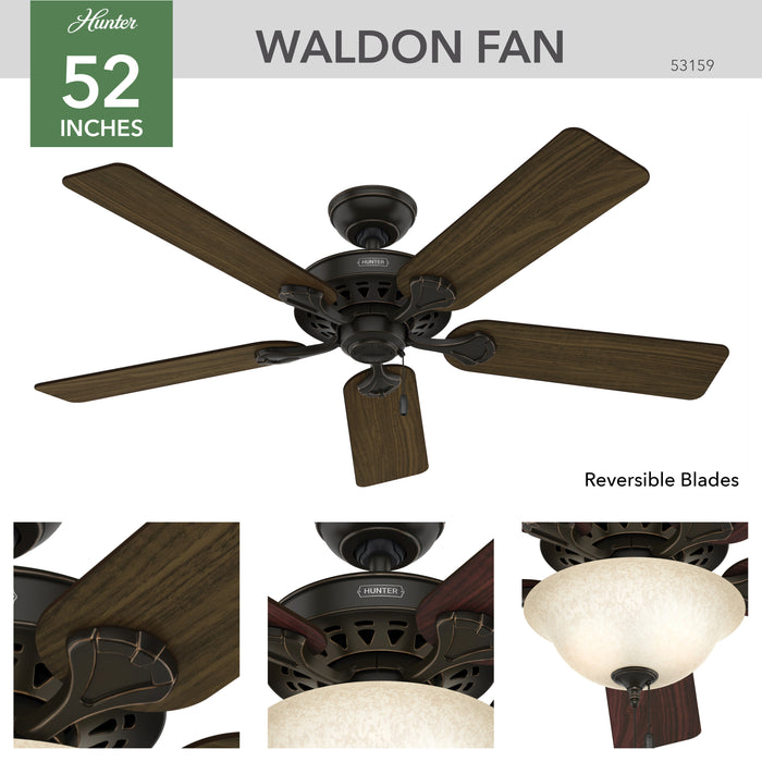 Waldon 52" Ceiling Fan-Fans-Hunter-Lighting Design Store