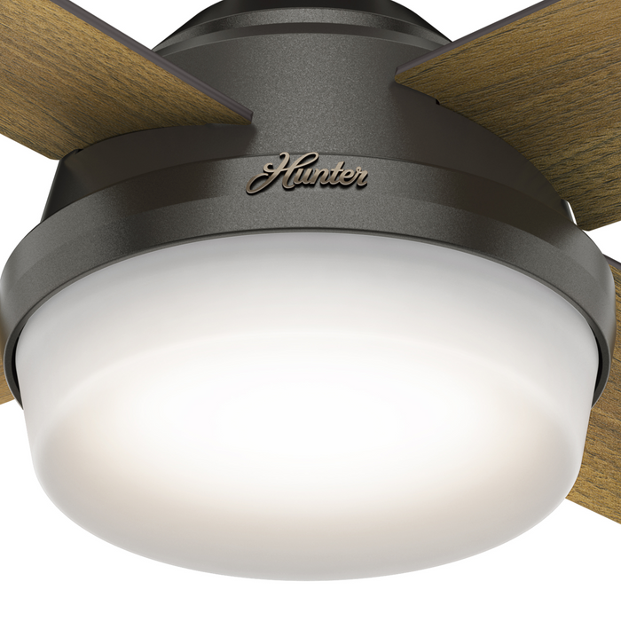 Dempsey 44" Ceiling Fan-Fans-Hunter-Lighting Design Store