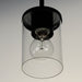 Corona Mini Pendant-Mini Pendants-Maxim-Lighting Design Store