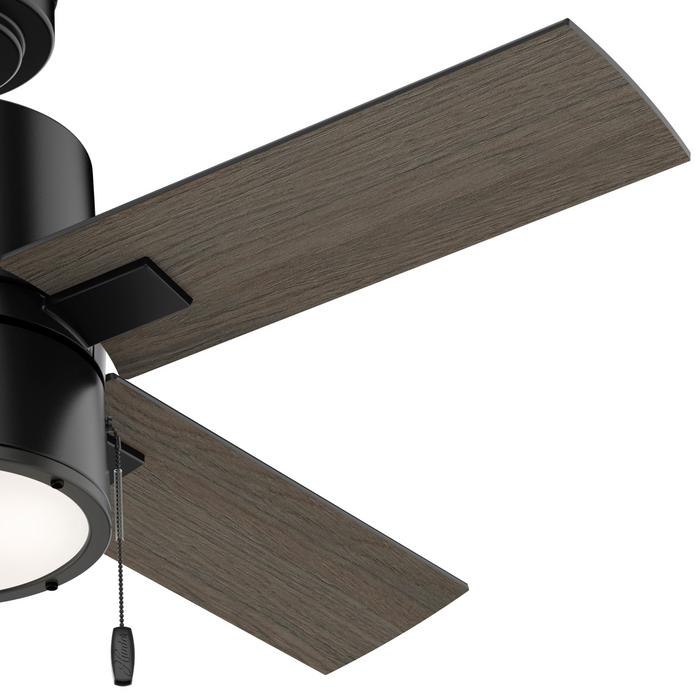 Beck 42"Ceiling Fan-Fans-Hunter-Lighting Design Store
