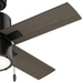 Beck 42"Ceiling Fan-Fans-Hunter-Lighting Design Store