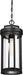 Nuvo Lighting - 60-6504 - One Light Hanging Lantern - Huron - Aged Bronze